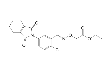 Acetic acid, [[[[2-chloro-5-(1,3,4,5,6,7-hexahydro-1,3-dioxo-2H-isoindol-2-yl)phenyl]methylene]amino]oxy]-, ethyl ester