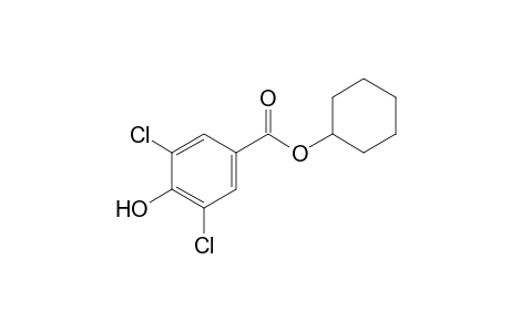 3,5-dichloro-4-hydroxybenzoic acid, cyclohexyl ester