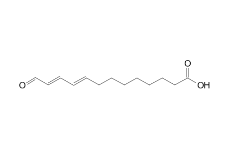 13-Oxo-trideca-9E,11E-dienoic acid