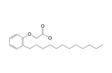 (o-Dodecylphenoxy)acetic acid