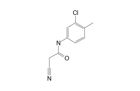 N-(3-Chloro-4-methylphenyl)-2-cyanoacetamide