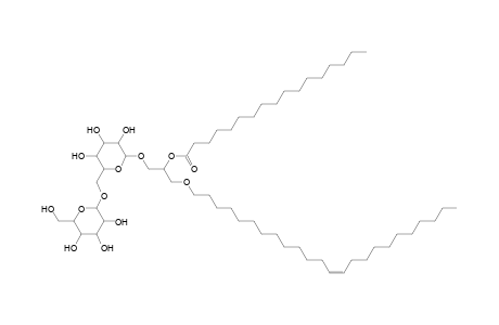 DGDG O-24:1_17:0