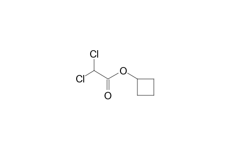 Cyclobutyl dichloroacetate