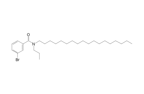 Benzamide, 3-bromo-N-propyl-N-octadecyl-