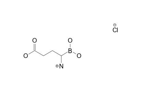 1-AMINO-3-(HYDROXYCARBONYL)-PROPANE-1-BORONATE-HYDROCHLORIDE
