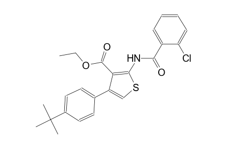 ethyl 4-(4-tert-butylphenyl)-2-[(2-chlorobenzoyl)amino]-3-thiophenecarboxylate