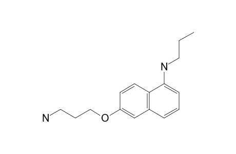 6-(3-AMINOPROPOXY)-N-PROPYLNAPHTHALEN-1-AMINE