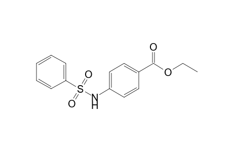 4-(benzenesulfonamido)benzoic acid ethyl ester