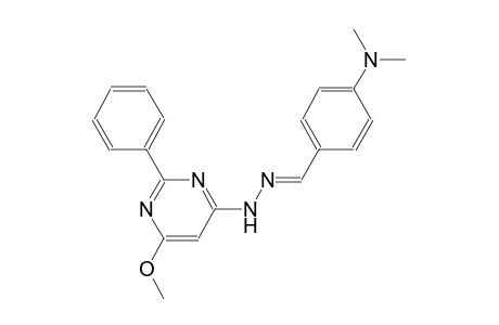 4-(dimethylamino)benzaldehyde (6-methoxy-2-phenyl-4-pyrimidinyl)hydrazone