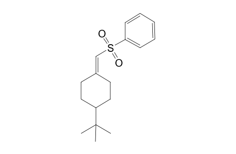 4-(t-Butylcyclohexylidene)methyl phenyl sulfone