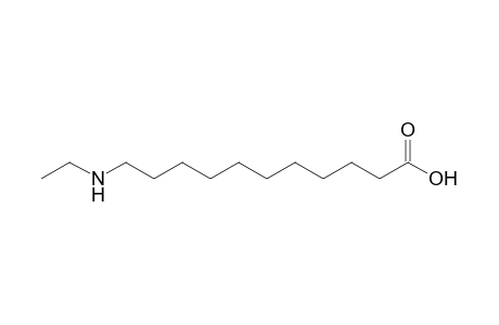11-Ethylaminoundecanoic acid