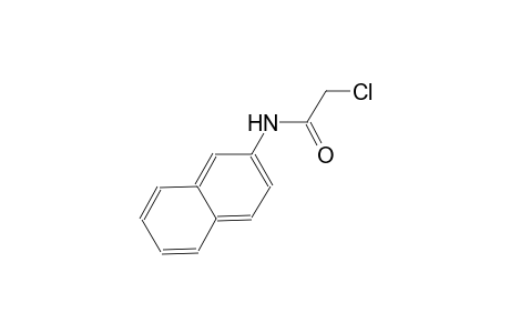 acetamide, 2-chloro-N-(2-naphthalenyl)-
