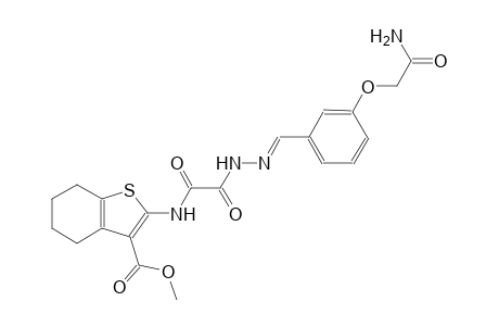 methyl 2-{[{(2E)-2-[3-(2-amino-2-oxoethoxy)benzylidene]hydrazino}(oxo)acetyl]amino}-4,5,6,7-tetrahydro-1-benzothiophene-3-carboxylate