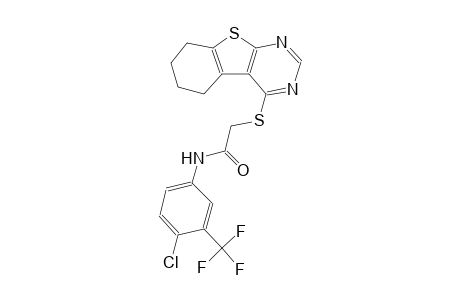 acetamide, N-[4-chloro-3-(trifluoromethyl)phenyl]-2-[(5,6,7,8-tetrahydrobenzo[4,5]thieno[2,3-d]pyrimidin-4-yl)thio]-