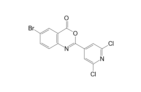 6-bromo-2-(2,6-dichloro-4-pyridyl)-4H-3,1-benzoxazin-4-one
