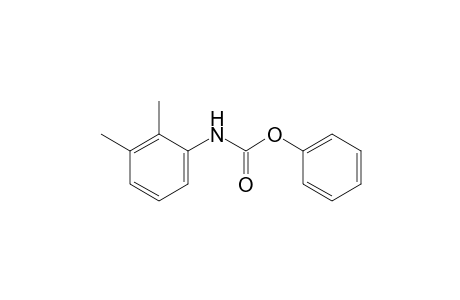 2,3-dimethylcarbanilic acid, phenyl ester