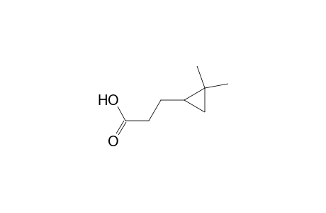 3-(2,2-Dimethylcyclopropyl)propanoic acid