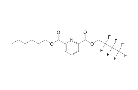 2,6-Pyridinedicarboxylic acid, 2,2,3,3,4,4,4-heptafluorobutyl hexyl ester