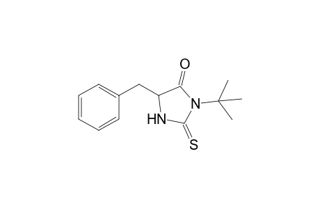 5-Benzyl-3-tert-butyl-2-thioxo-4-imidazolidinone