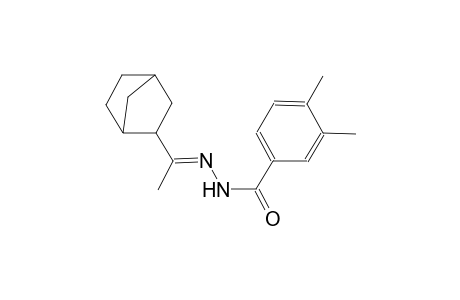 N'-[(E)-1-bicyclo[2.2.1]hept-2-ylethylidene]-3,4-dimethylbenzohydrazide