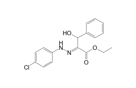 Ethyl 2-p-chlorophenylhydrazono-3-hydroxy-3-phenylpropionate