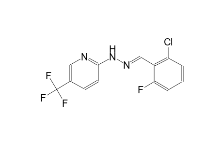2-chloro-6-fluorobenzaldehyde [5-(trifluoromethyl)-2-pyridinyl]hydrazone