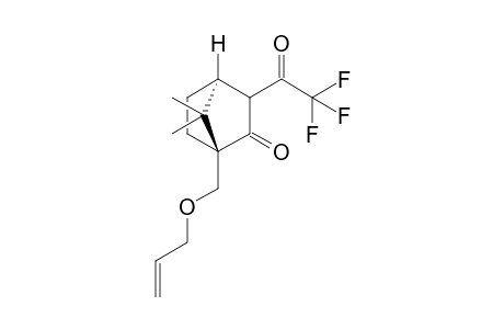 (1R,4S)-1-((allyloxy)methyl)-7,7-dimethyl-3-(2,2,2-trifluoroacetyl)bicyclo[2.2.1]heptan-2-one