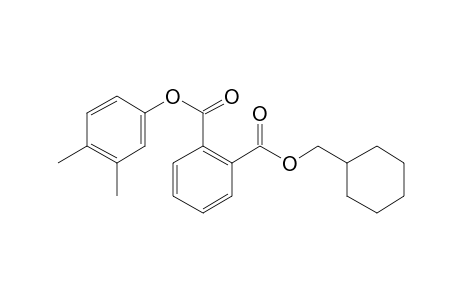 Phthalic acid, cyclohexylmethyl 3,4-dimethylphenyl ester