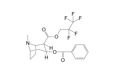 Benzoylecgonine,2,2,3,3,3-pentafluoropropyl ester