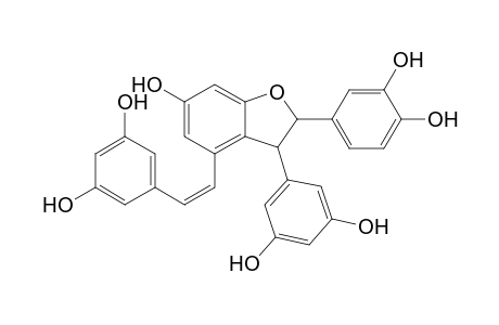 (Z)- 5-[.beta.-(3,5-Dihydroxyphenyl)ethenyl]-2-(3',5'-dihydroxyphenyl)-3-(3",4"-dihydroxyphenyl)-7-hydroxy-2,3-dihydrobenzofuran