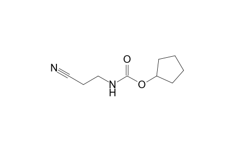 3-[(Cyclopentyloxycarbonyl)amino]-propanenitrile