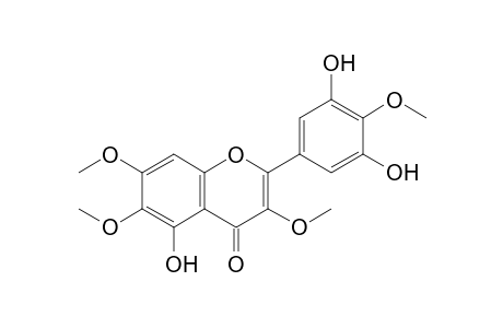 5,3',5'-Trihydroxy-3,6,7,4'-tetramethoxyflavone