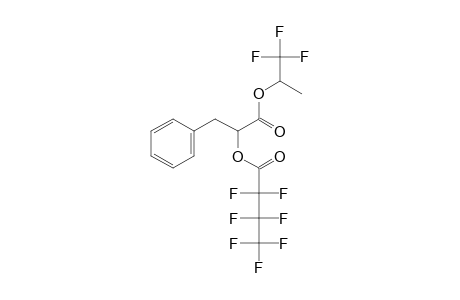 3-Phenyllactic acid, o-heptafluorobutyryl-, 1,1,1-trifluoro-2-propyl ester