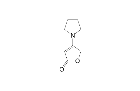 4-PYRROLIDINYL-BUT-2-ENOLIDE