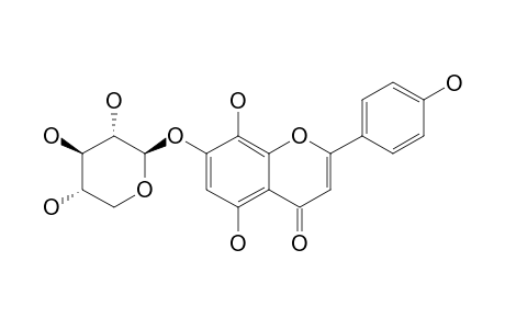 ISOSCUTELLAREIN-7-O-BETA-XYLOPYRANOSIDE