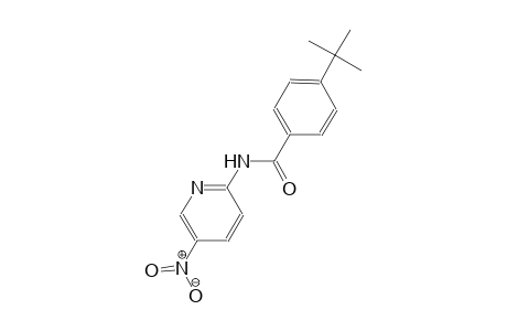 4-tert-butyl-N-(5-nitro-2-pyridinyl)benzamide