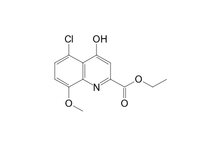 5-chloro-4-hydroxy-8-methoxyquinaldic acid, ethyl ester