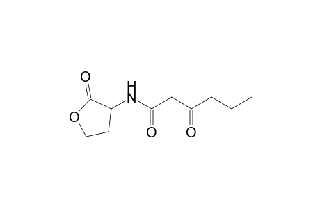 Hexanamide, 3-oxo-N-(tetrahydro-2-oxo-3-furanyl)-