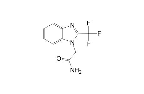 2-[2-(trifluoromethyl)-1H-benzimidazol-1-yl]acetamide