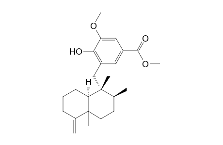 Polyfibrospongol A