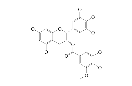 EPIGALLOCATECHIN-3-O-(3'-O-METHYL)-GALLATE