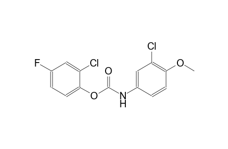2-chloro-4-fluorophenyl 3-chloro-4-methoxyphenylcarbamate