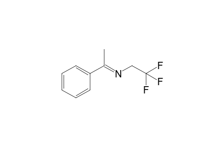 1-(2,2,2-Trifluoroethyl)imino-1-phenylethane