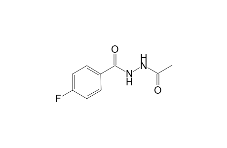 N'-Acetyl-4-fluorobenzohydrazide