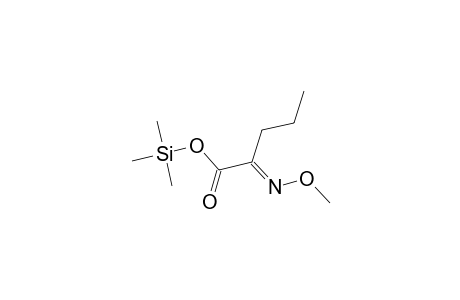 Pentanoic acid, 2-(methoxyimino)-, trimethylsilyl ester