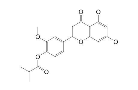 3'-Methyl-4'-isobutyryl-Eriodictyol