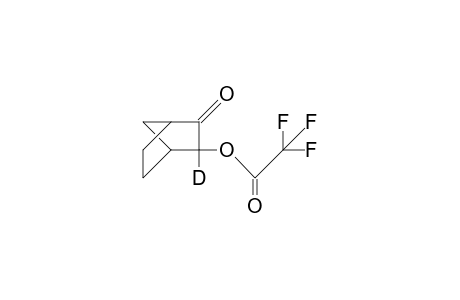 2-exo-Trifluoroacetoxy-2-endo-deuterio-bicyclo(2.2.1)heptan-3-one