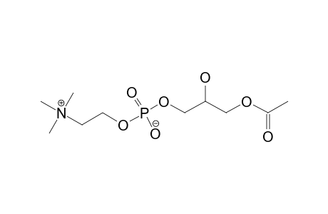 1-O-ACETYL-SN-GLYCERO-3-PHOSPHOCHOLINE
