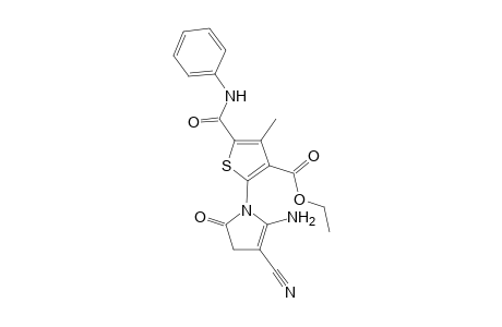 Ethyl 2-(5-amino-4-cyano-2-oxo-2,3-dihydro-1H-pyrrol-1-yl)-4-methyl-5-(phenyl carbamoyl)thiophene-3-carboxylate