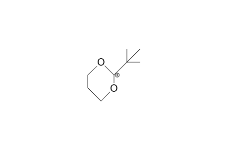 2-tert-Butyl-1,3-dioxan-2-ylium cation
